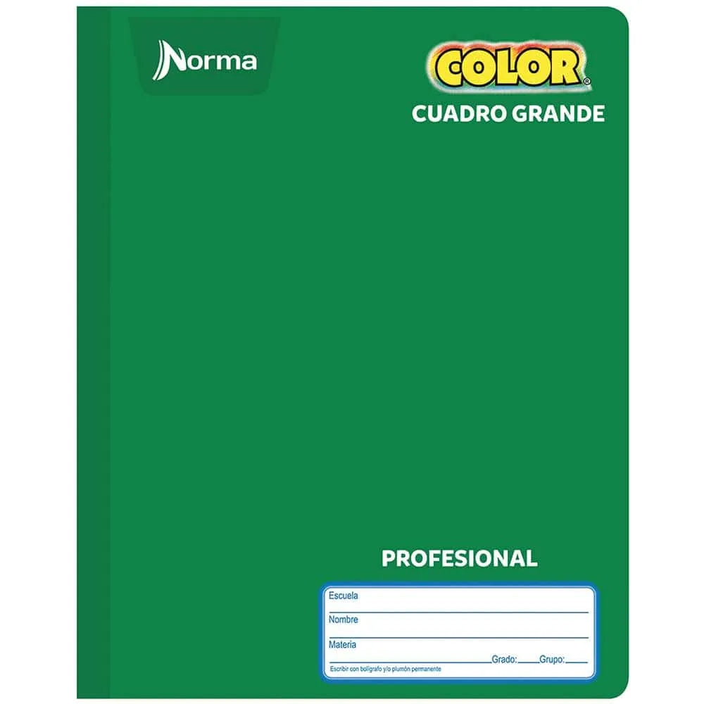 Libreta Profesional Cosido Norma 100 Hojas - Cuadro Grande