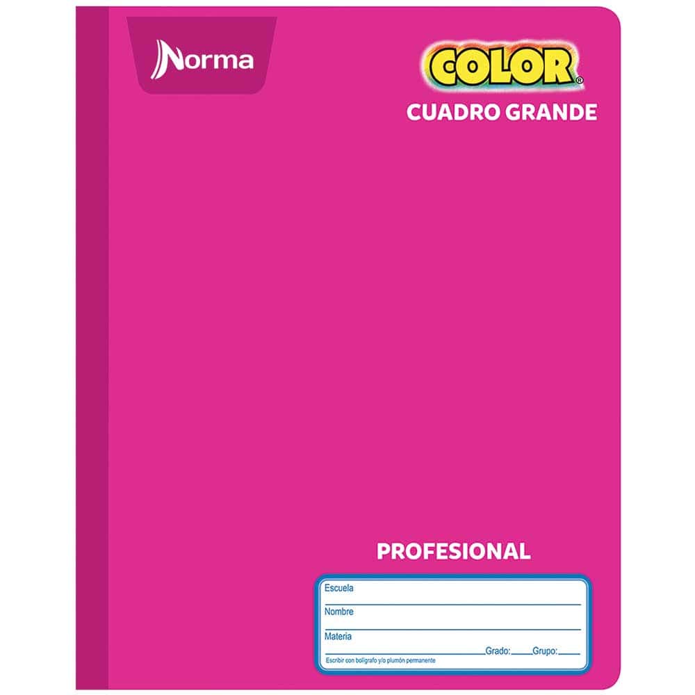 Libreta Profesional Cosido Norma 100 Hojas - Cuadro Grande