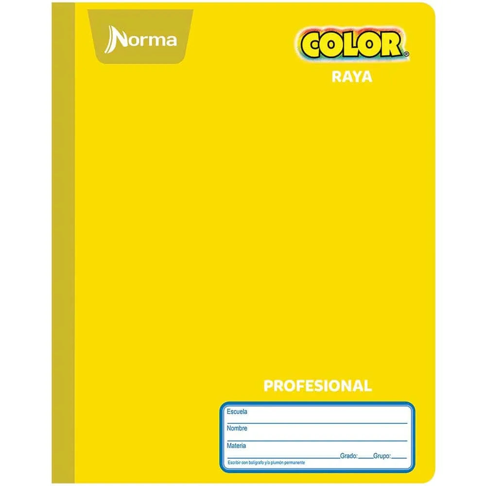Libreta Profesional Cosido Norma 100 Hojas - Raya